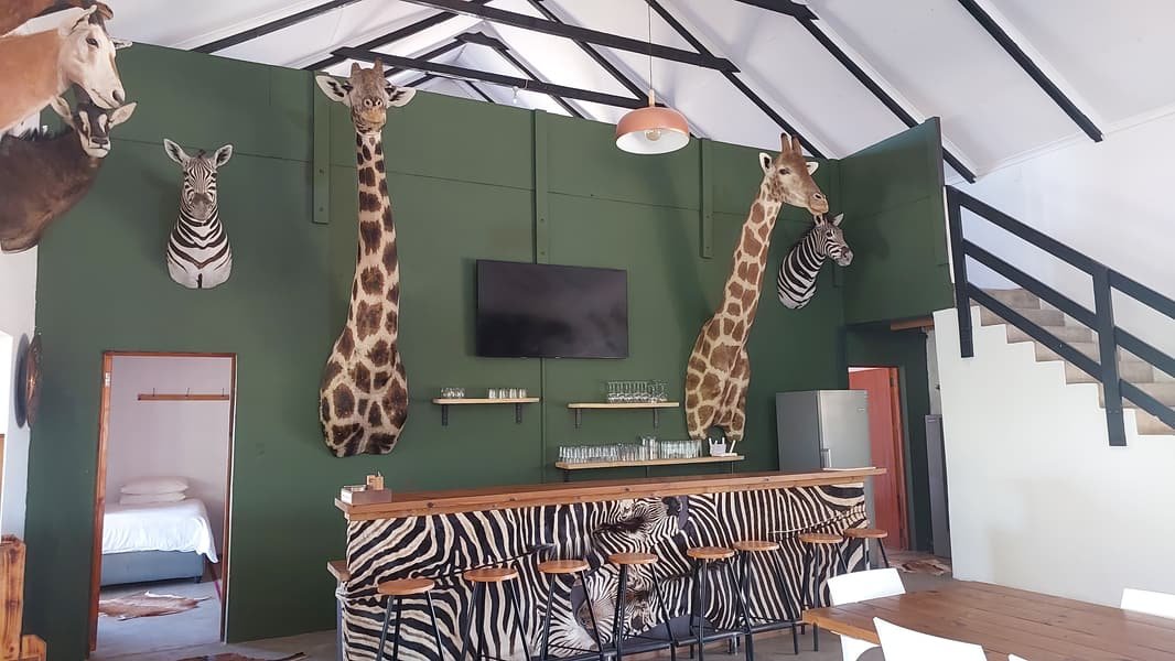 Bar with giraffe and zebra mounts in the Hartsrust House hall