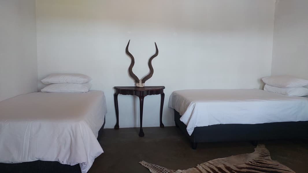 Kudu horns on a side table between two beds