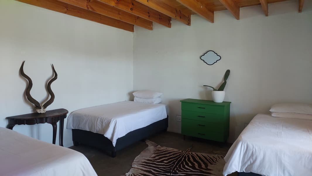 Three single beds, a green chest of drawers and kudu horns under a beamed ceiling