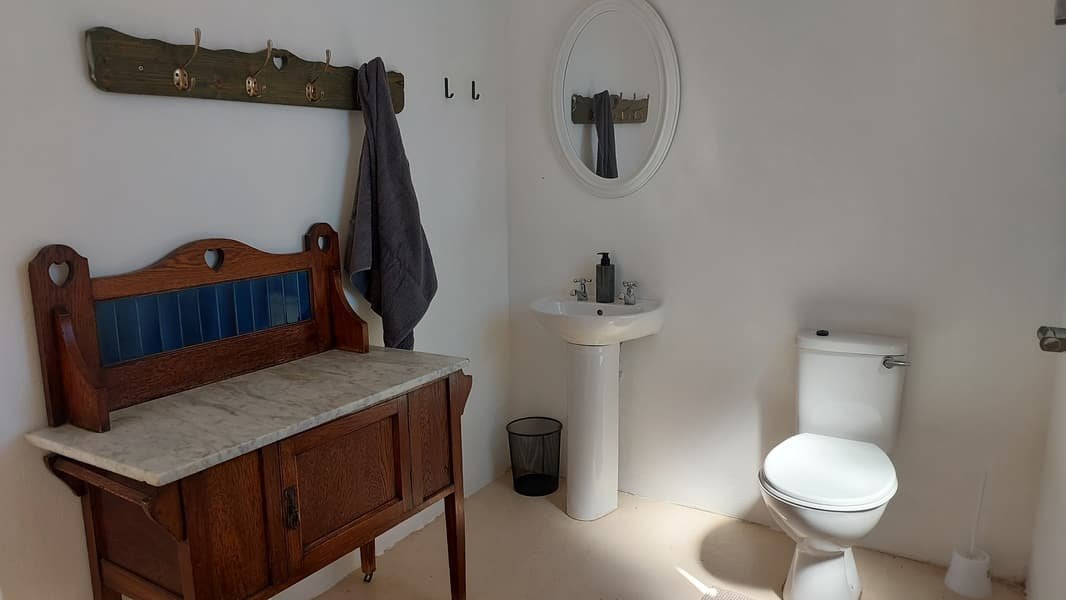 Flatlet bathroom with an antique washstand, pedestal basin and toilet
