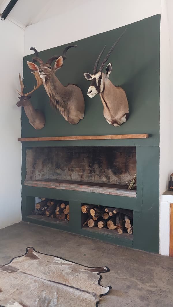 Indoor braai fireplace beneath kudu and gemsbok mounts