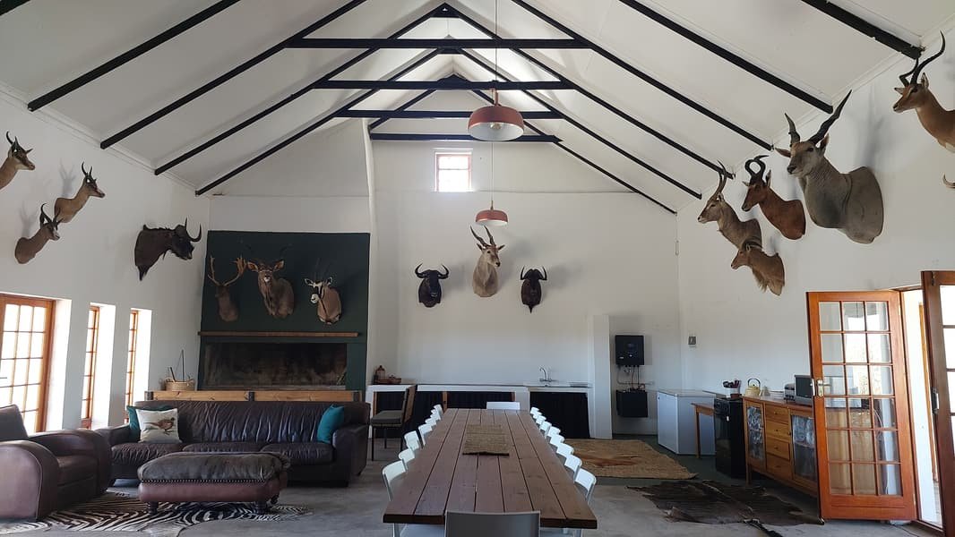 Trophy-lined hall at Hartsrust House with leather couches and a long dining table