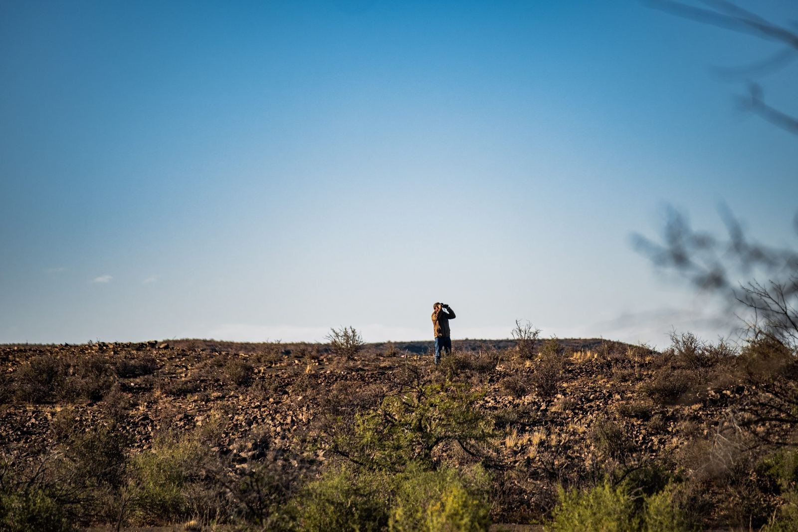 Hunter glassing for plains game from a Karoo ridge